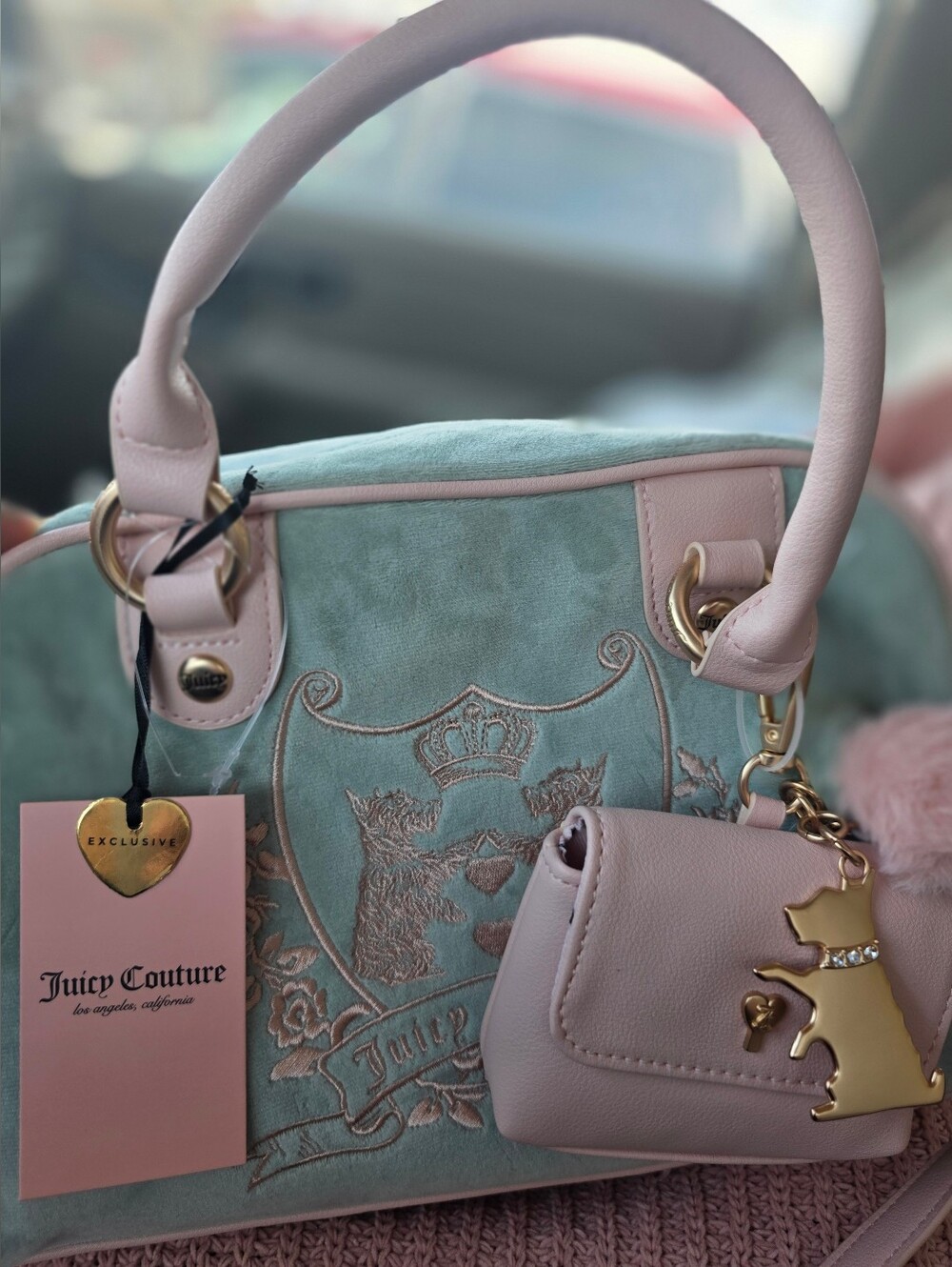 NWT Juicy Couture Pink and Mint Velour Purse